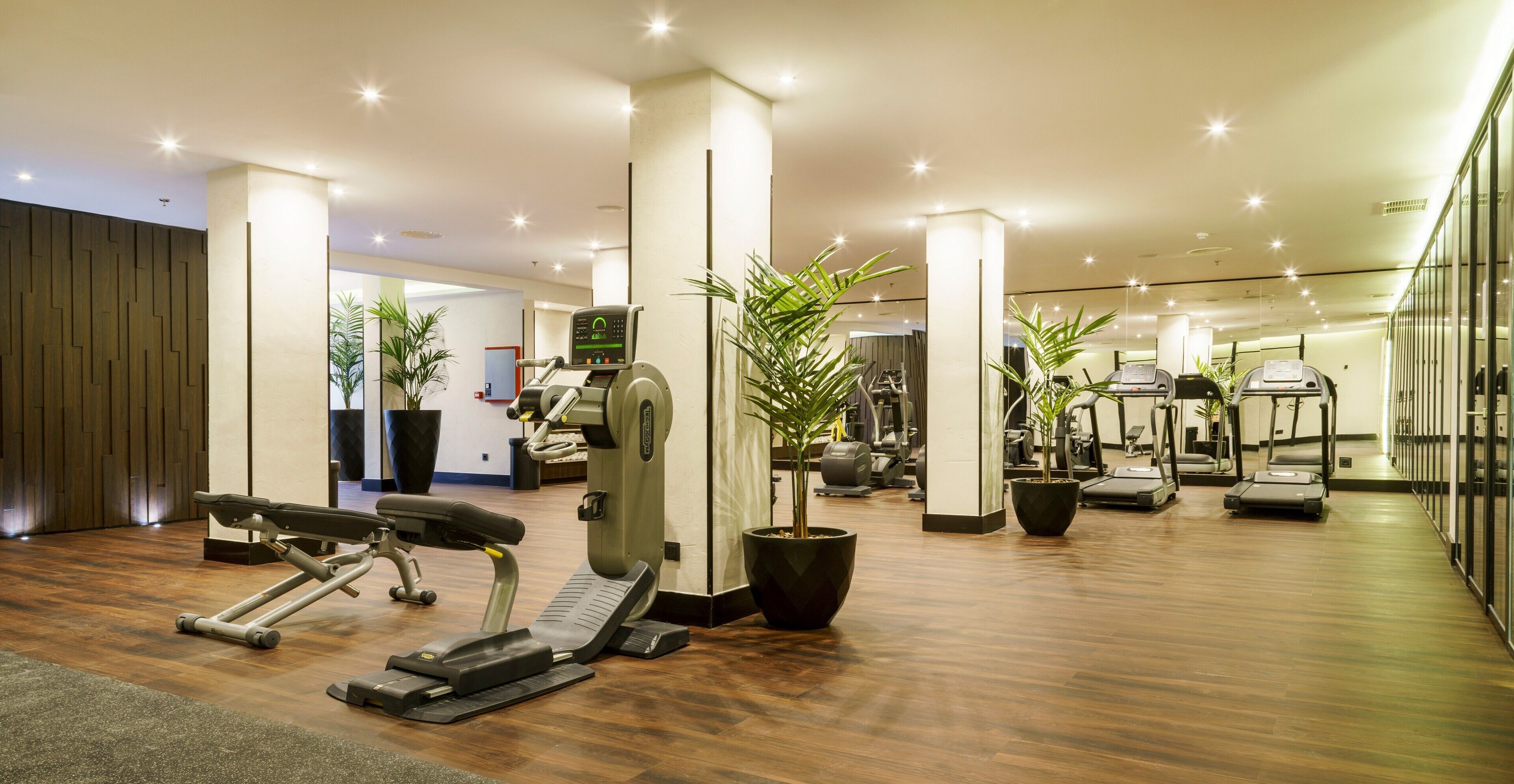 Un gimnasio moderno con diversos equipos de ejercicio, incluyendo cintas de correr y máquinas de pesas, y plantas en macetas.