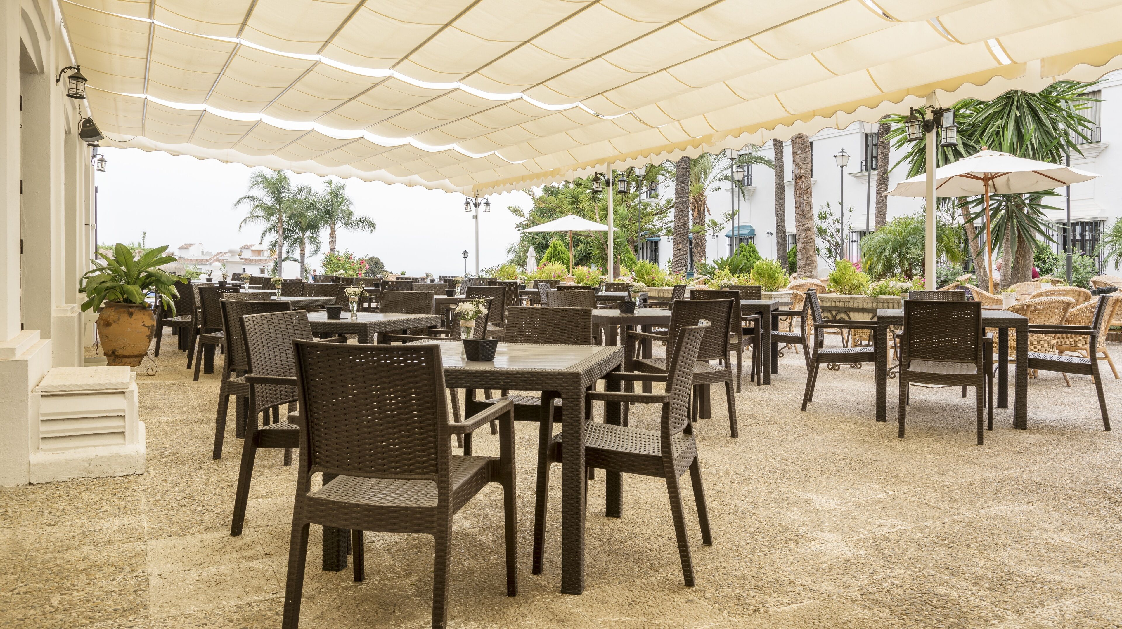 An outdoor dining area with wicker furniture, covered by a canopy, and surrounded by palm trees and potted plants.
