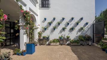 A courtyard with a white wall, potted plants, and a gate.