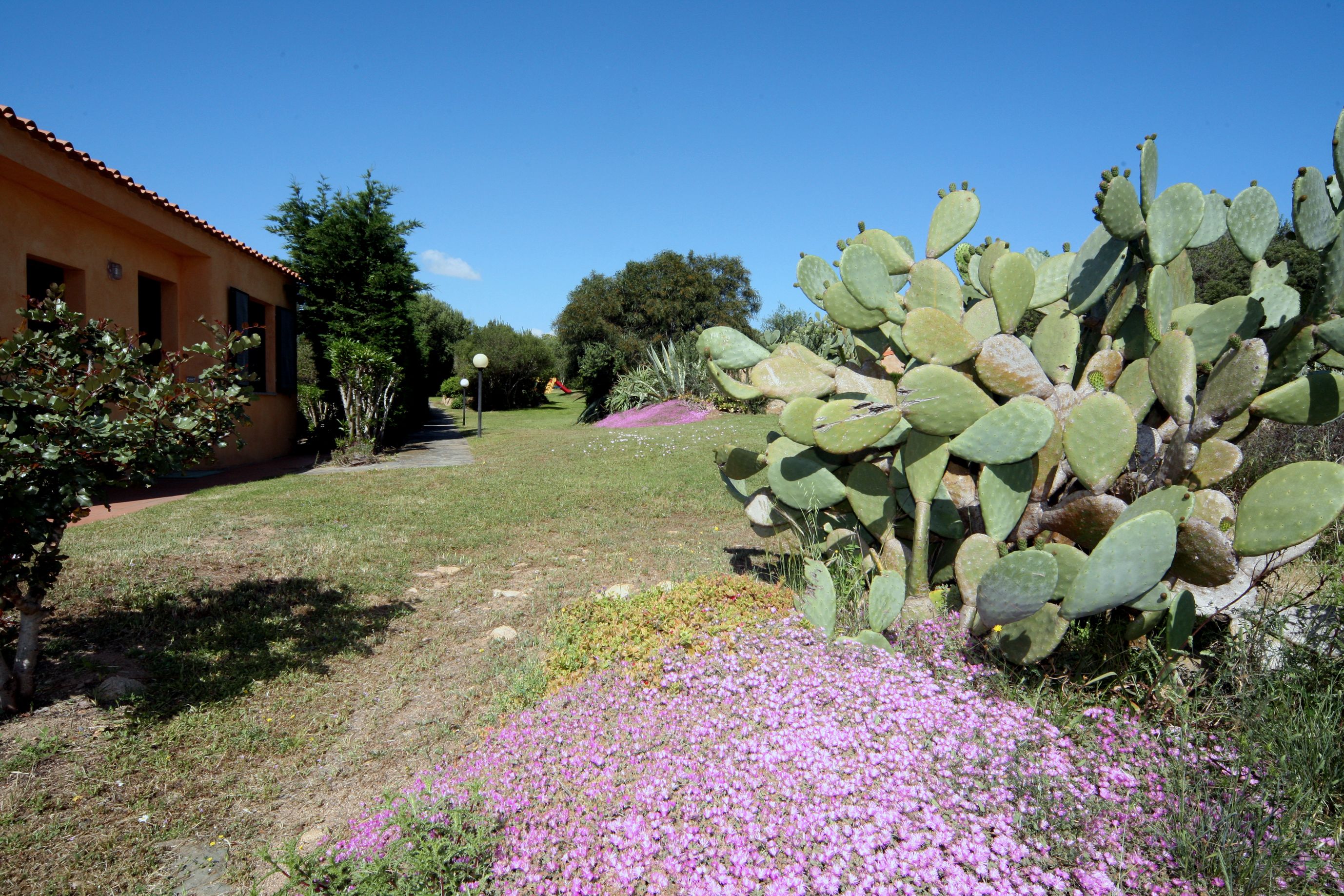 A garden with a large cactus, a building with a tiled roof, and a pathway.