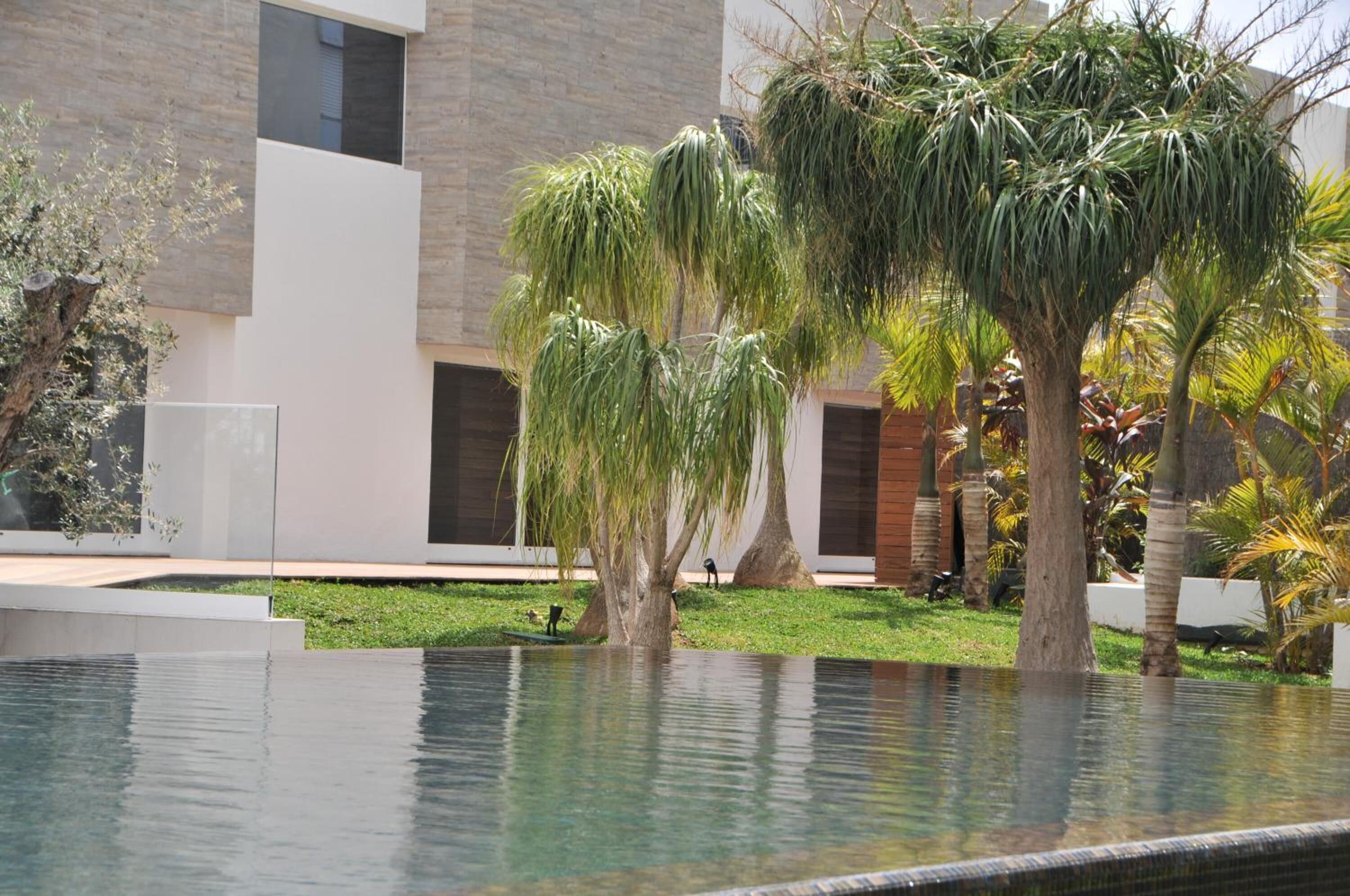 outdoor pool, pool umbrellas, pool loungers