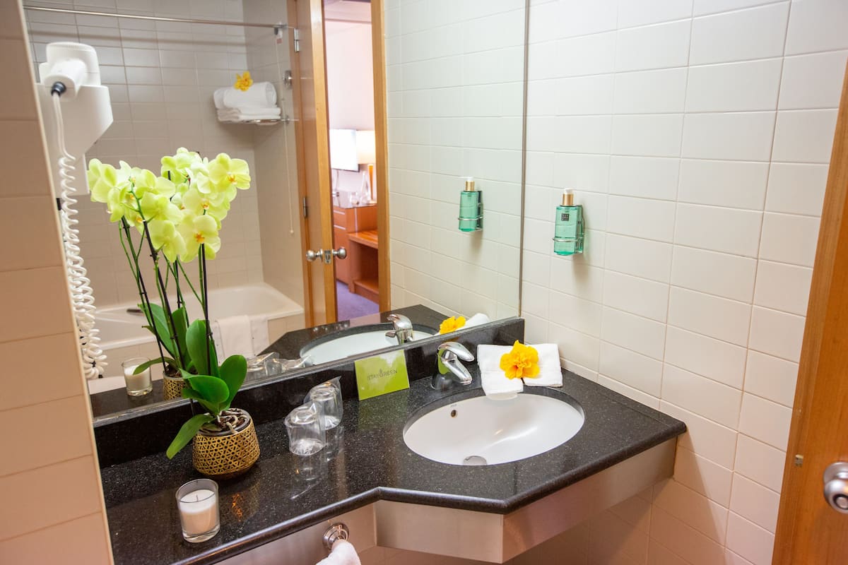 bathtub, hair dryer, bidet, towels