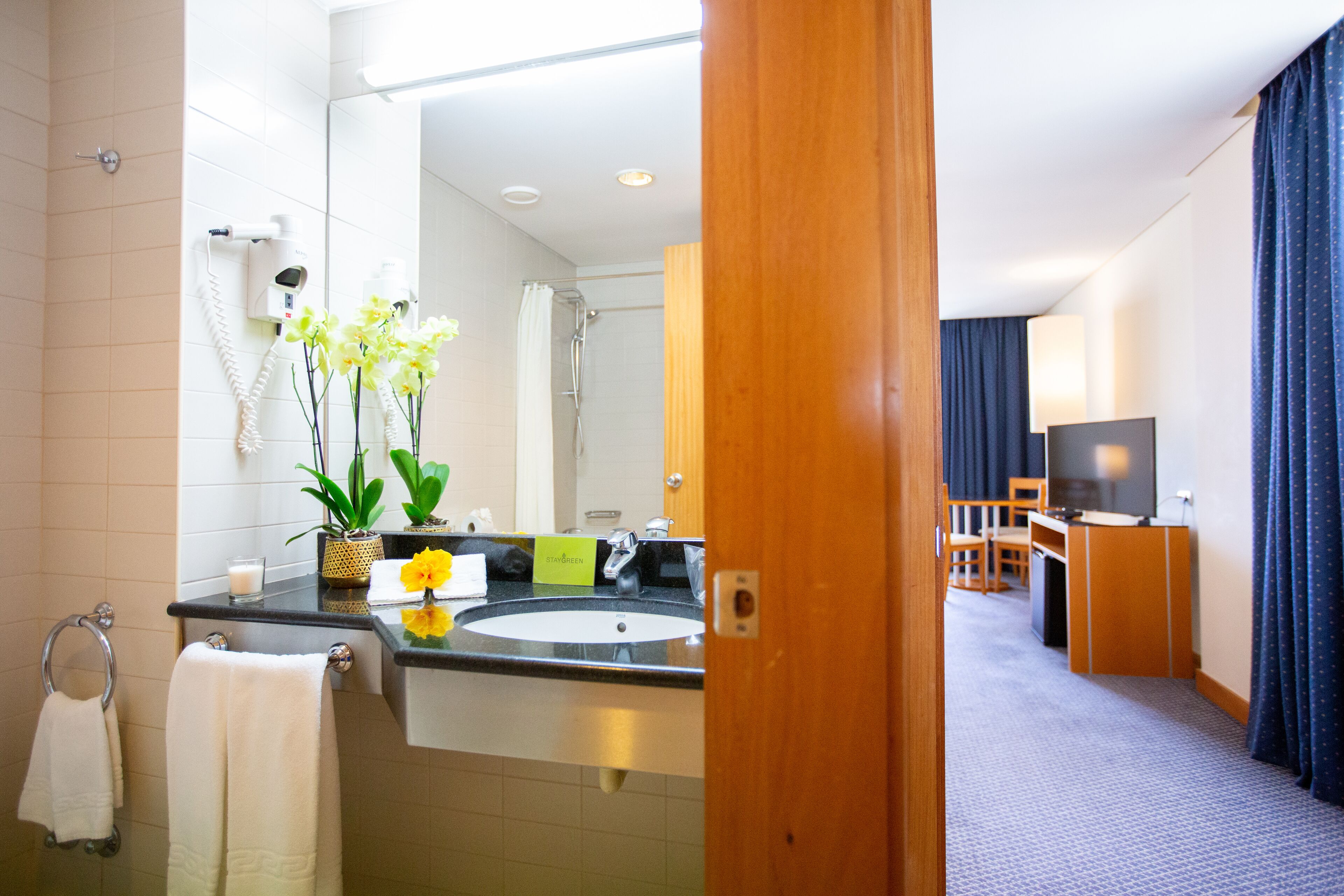 bathtub, hair dryer, bidet, towels