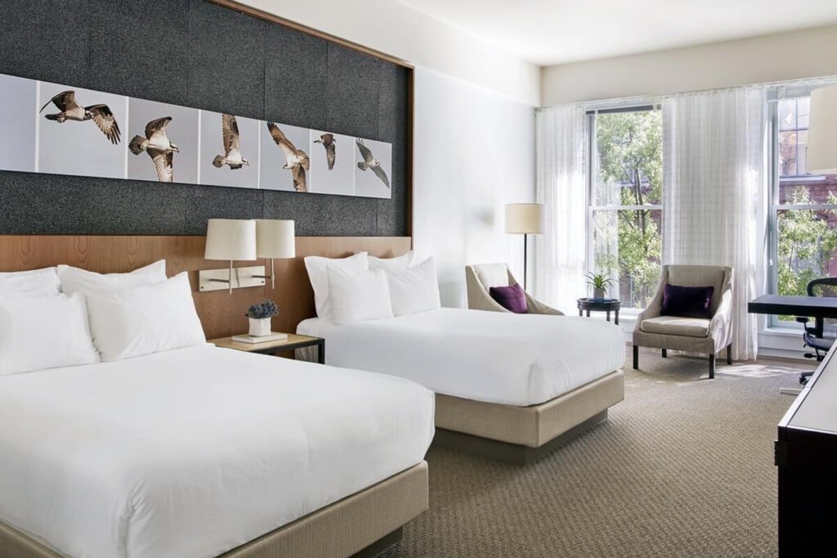 A hotel room with two beds, a desk, a chair, a window with curtains, and a wall with bird artwork.