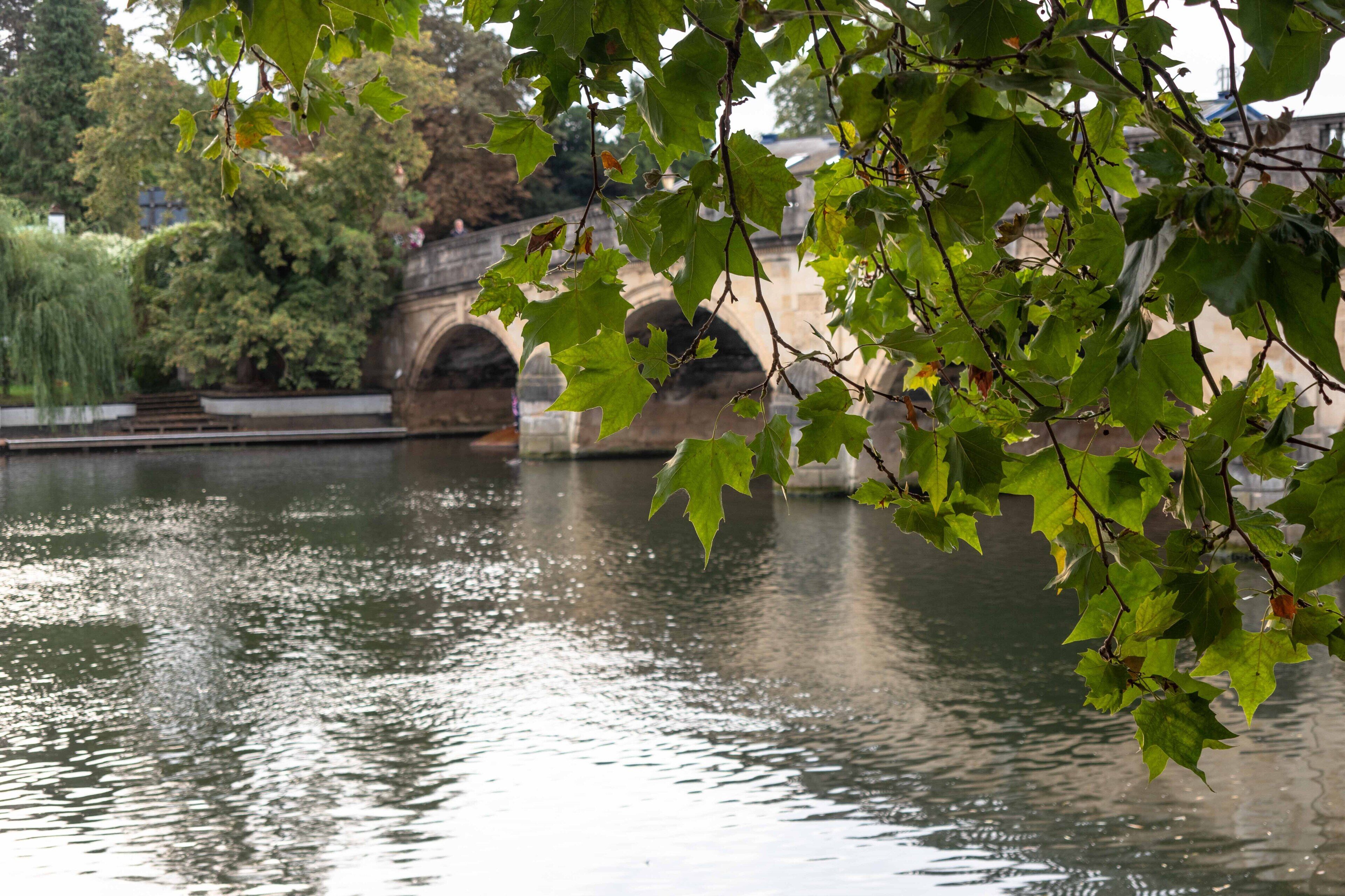 A stone bridge over a calm body of water, surrounded by lush greenery.