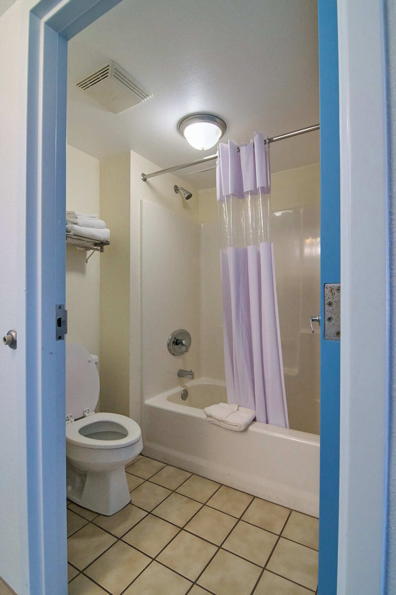 A bathroom with a toilet, bathtub, and shower curtain.