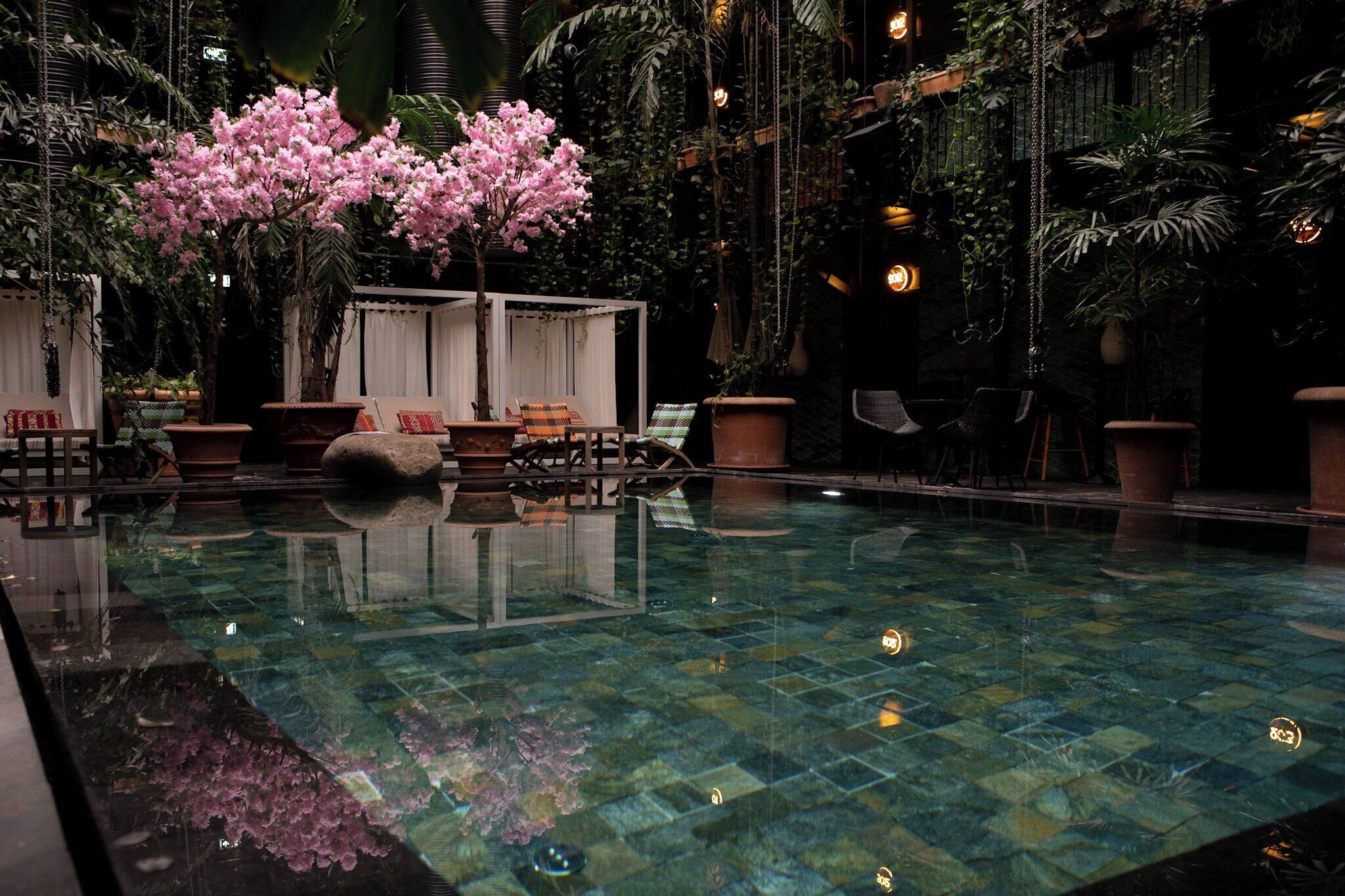 Una zona de piscina con superficie de agua cristalina, rodeada de plantas en macetas y un árbol de flores rosadas.