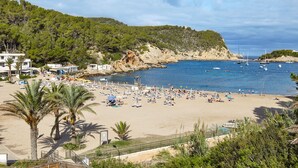 A beach with palm trees, a sandy shore, and boats in the water.