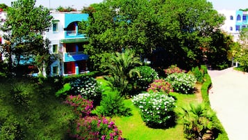 Jardín