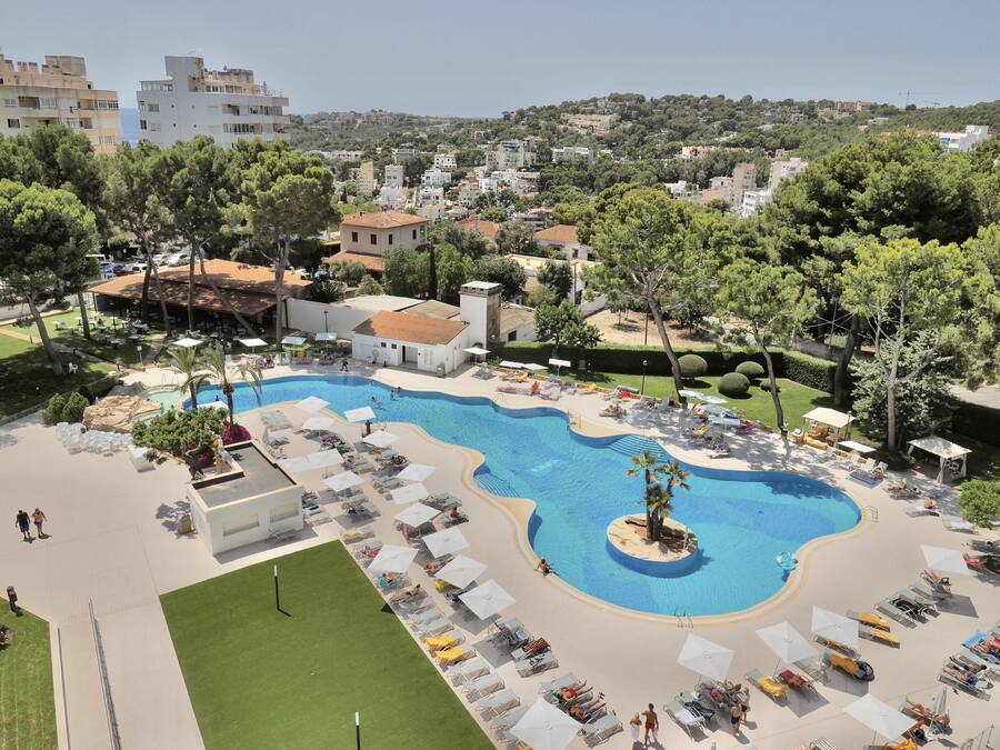 Un complexe hôtelier doté d’une grande piscine, de chaises longues et d’un petit îlot agrémenté d’un palmier.