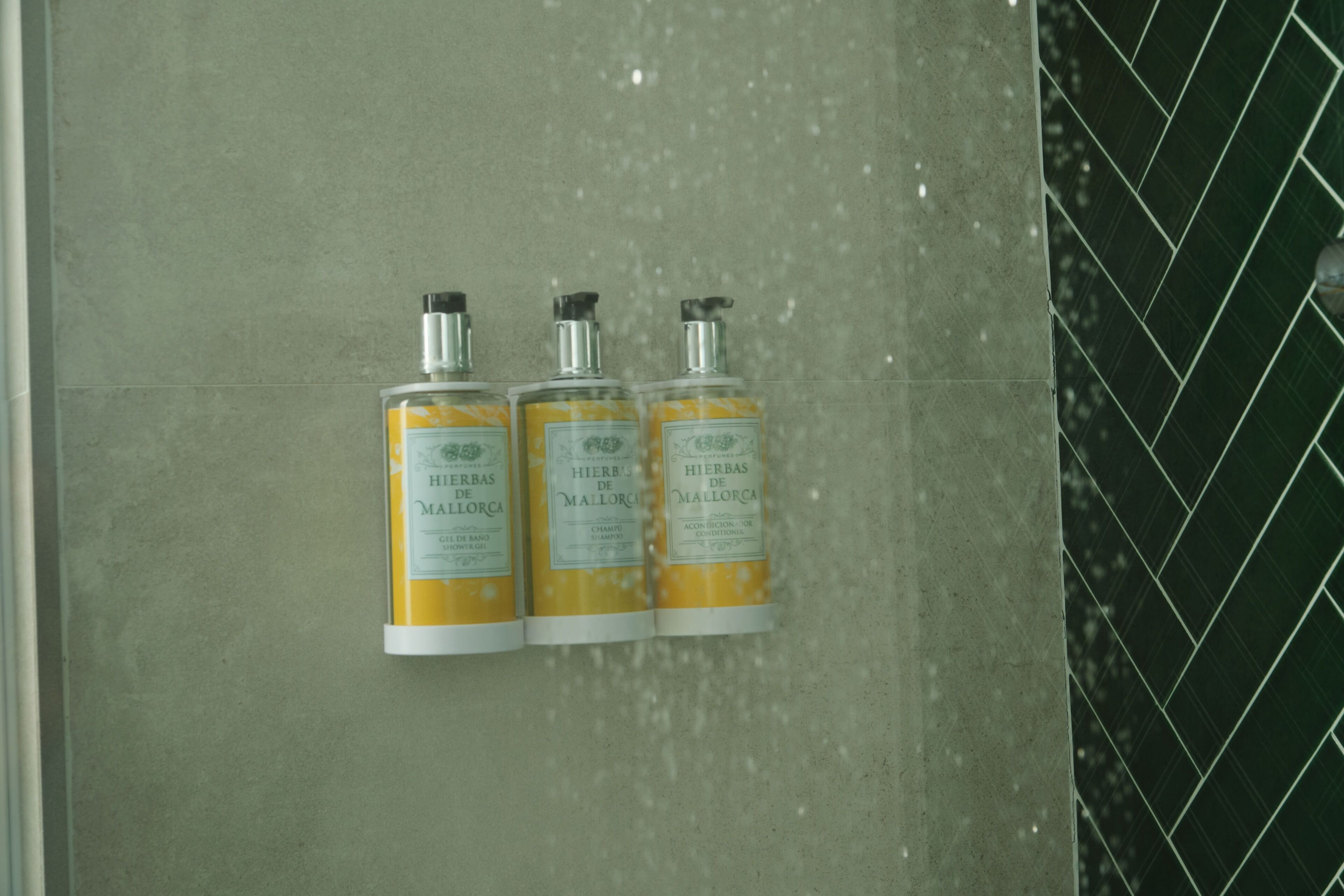 Foto - BQ Paguera Boutique Hotel - Adults Only