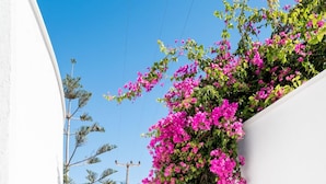 A narrow stone-paved alleyway flanked by white walls with potted plants and bougainvillea vines. - Hotel Mathios Village (Santorini)