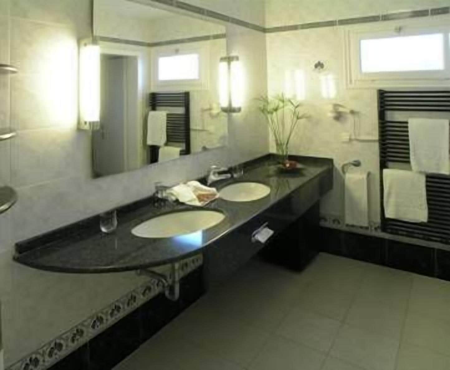 A bathroom with two sinks, a large mirror, and a potted plant.
