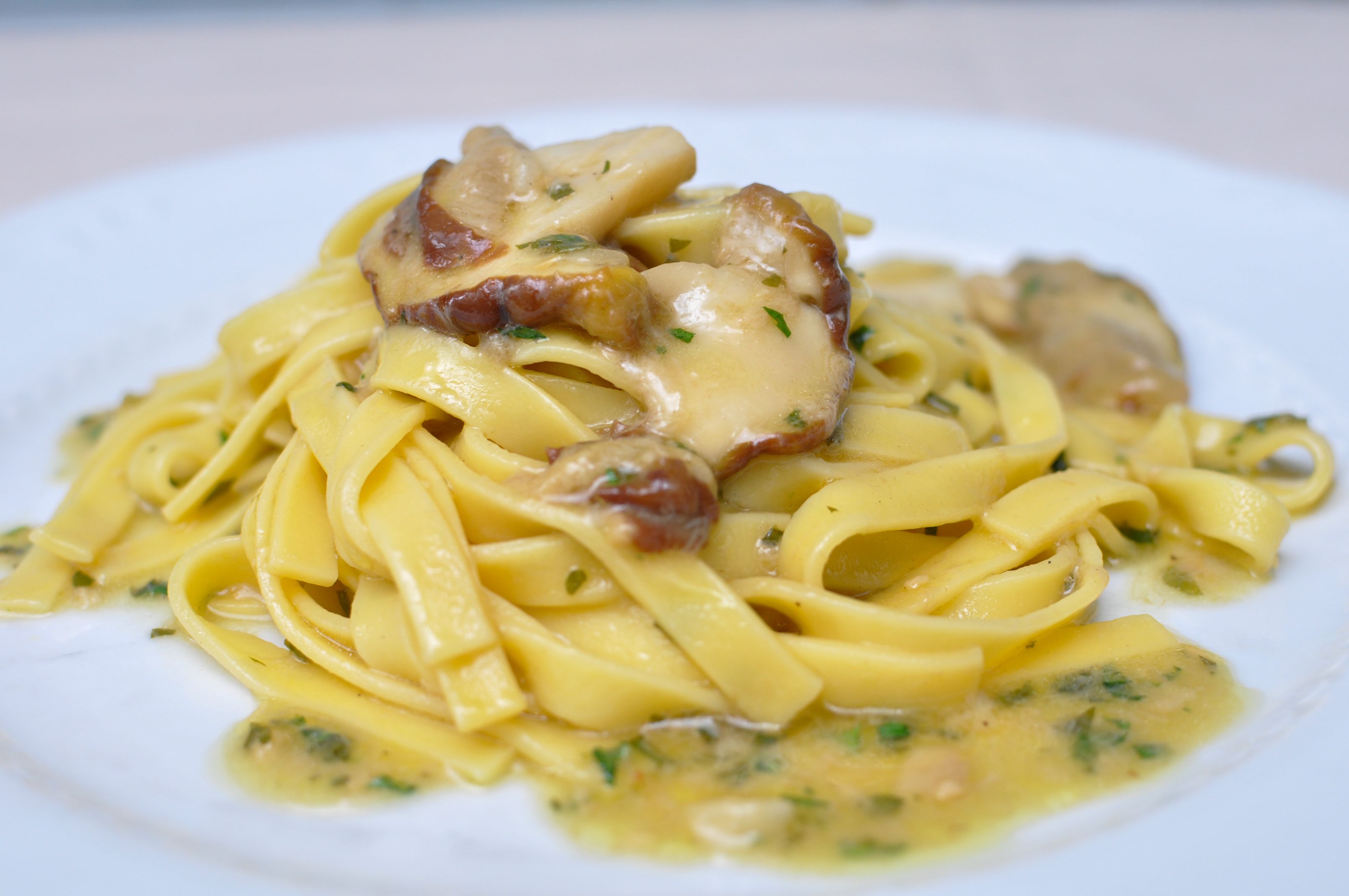 Ein Teller mit Fettuccine-Pasta, cremiger Soße und Pilzen.
