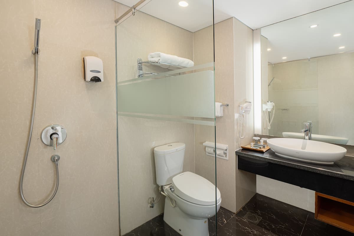 Nirwana Premier | Banyo | Duş, ücretsiz banyo/kozmetik ürünleri, saç kurutma makinesi, terlik