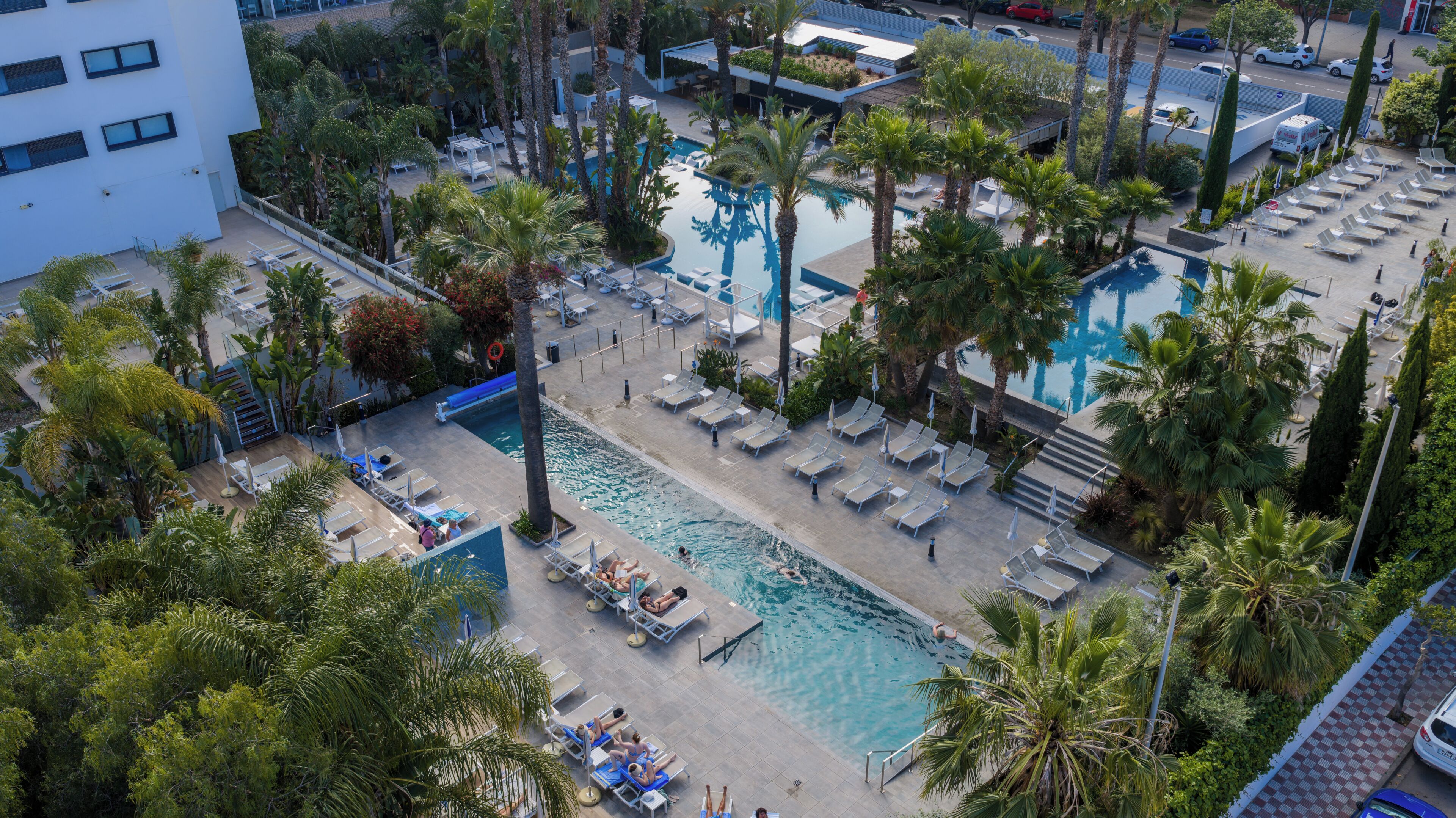 A rooftop pool area with lounge chairs, palm trees, and a clear view of the surrounding cityscape.
