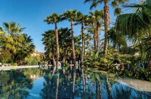 Une piscine aux eaux cristallines, entourée de grands palmiers et d’une végétation luxuriante, sous un ciel d’un bleu éclatant.