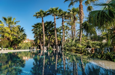 A clear pool surrounded by tall palm trees and lush greenery, with a clear blue sky above.