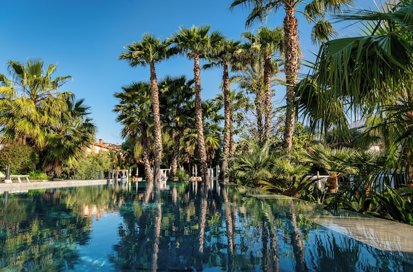 A clear pool surrounded by tall palm trees and lush greenery, with a clear blue sky above.