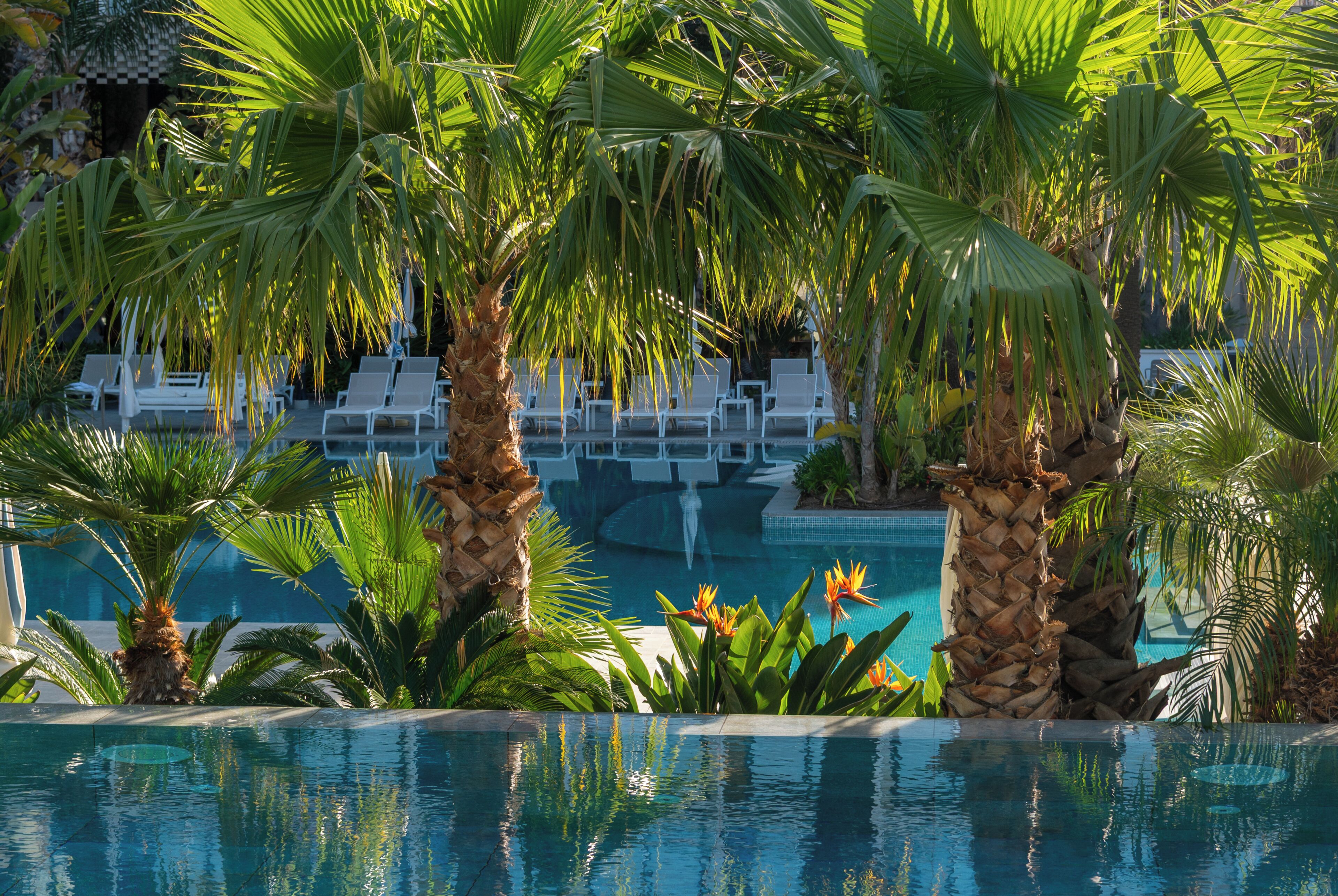 3 piscinas al aire libre, sombrillas, sillones reclinables de piscina