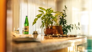 Een bar met een groene fles, een glas en een potplant op een reflecterend oppervlak.