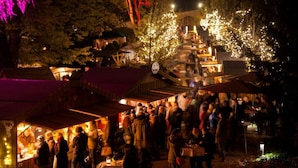 Ein belebter Markt im Freien mit Ständen und Menschen.