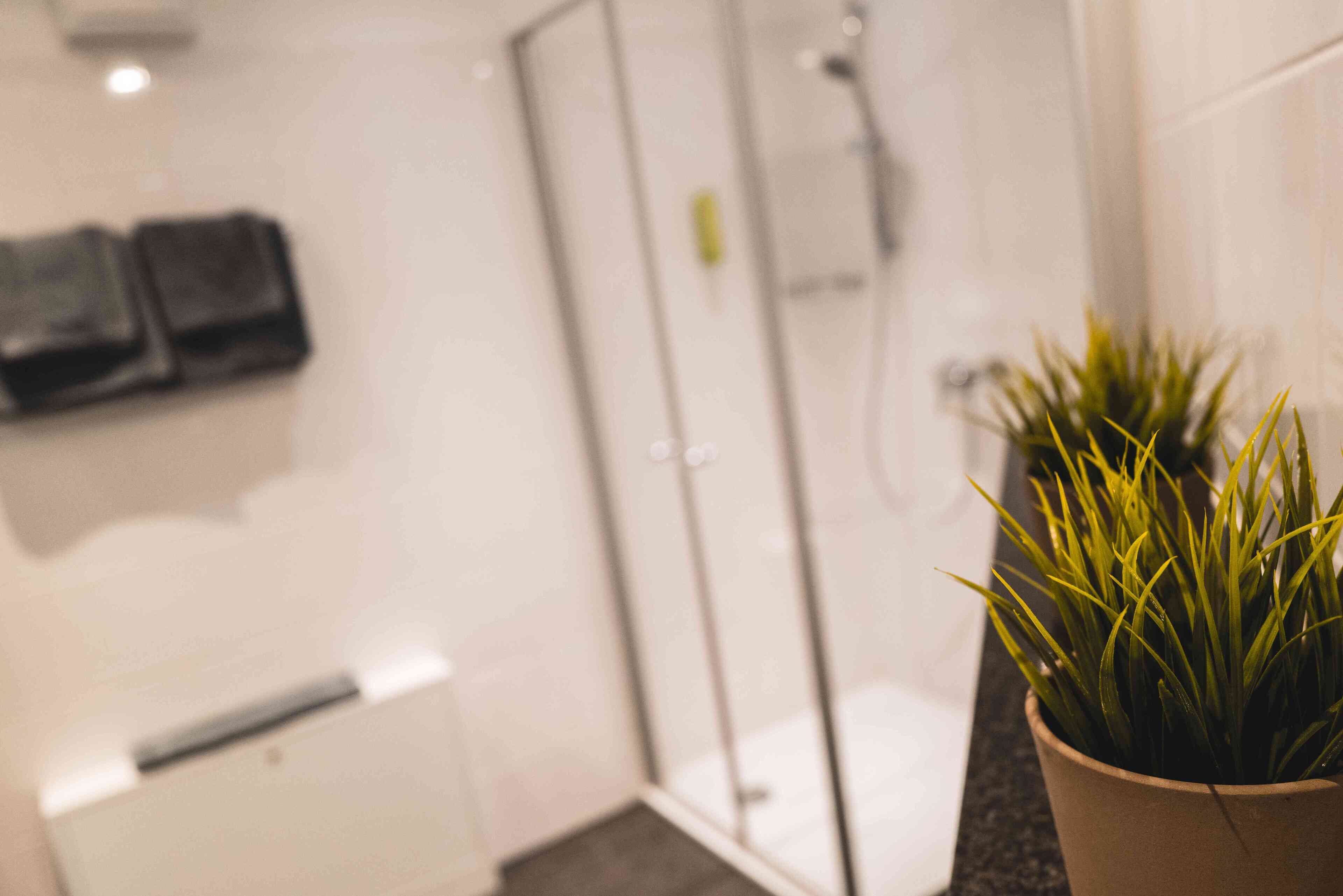 Un baño con cabina de ducha de vidrio, una planta en maceta sobre el mostrador y un perchero en la pared.