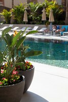 Una piscina al aire libre (de 09:00 a 20:00), sombrillas, tumbonas