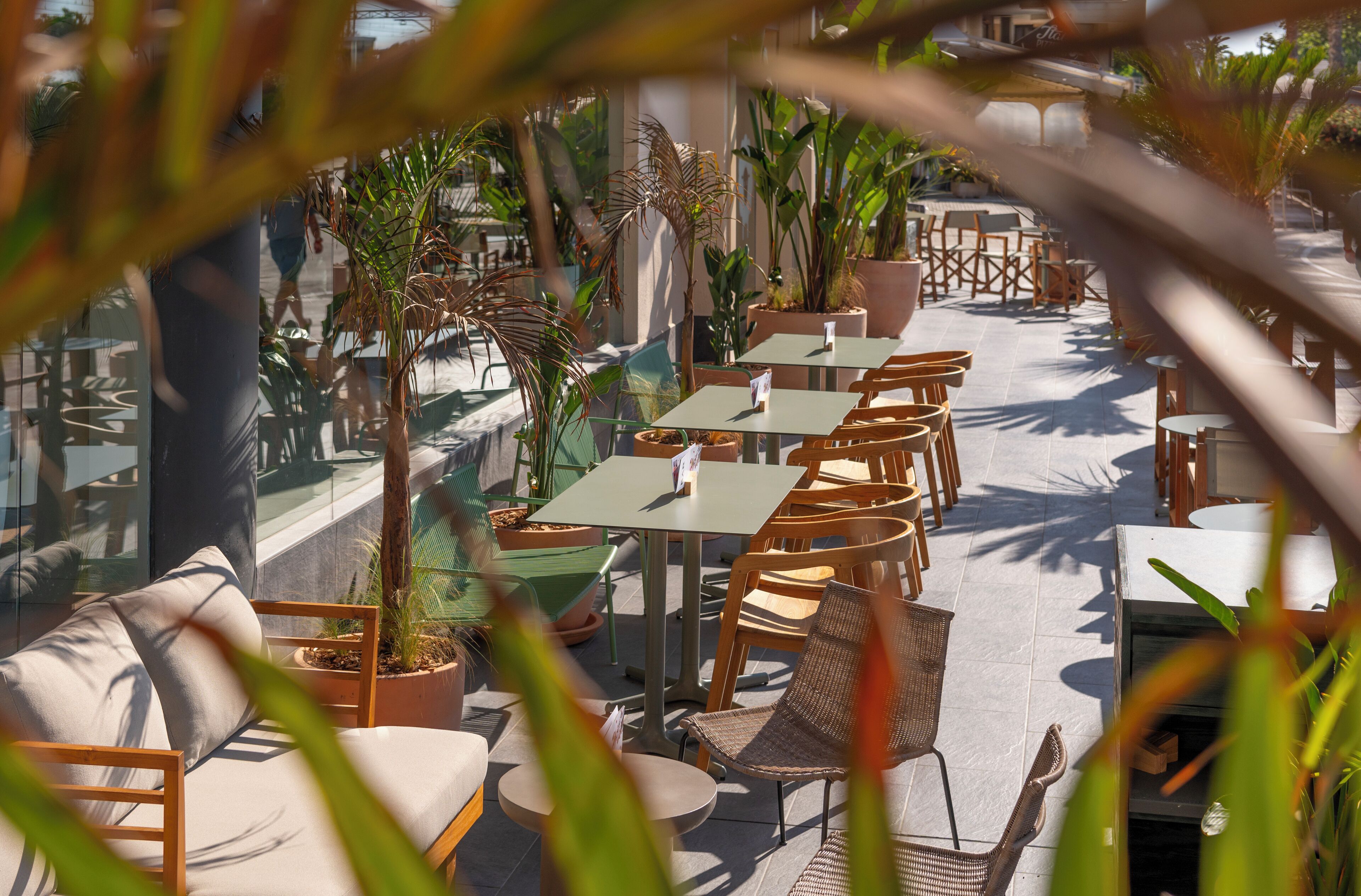Terraza o patio