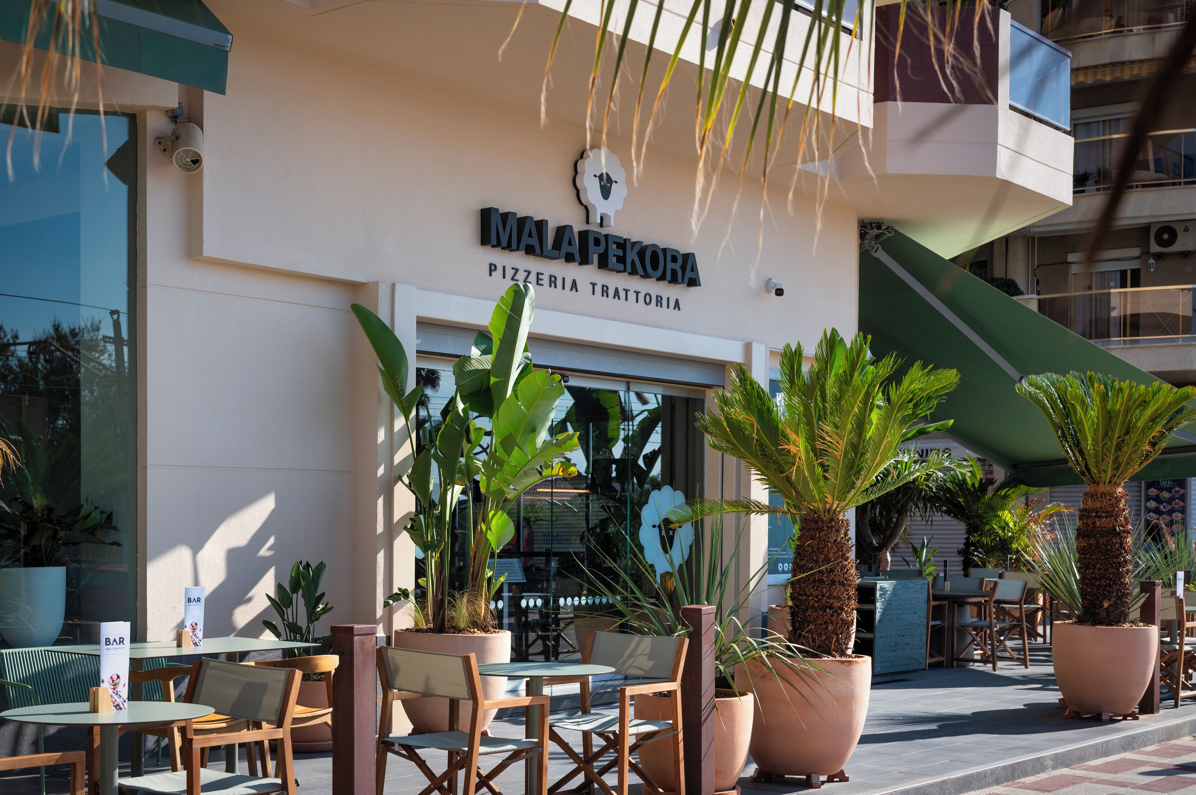 A pizzeria with outdoor seating, large potted plants, and a modern building facade.