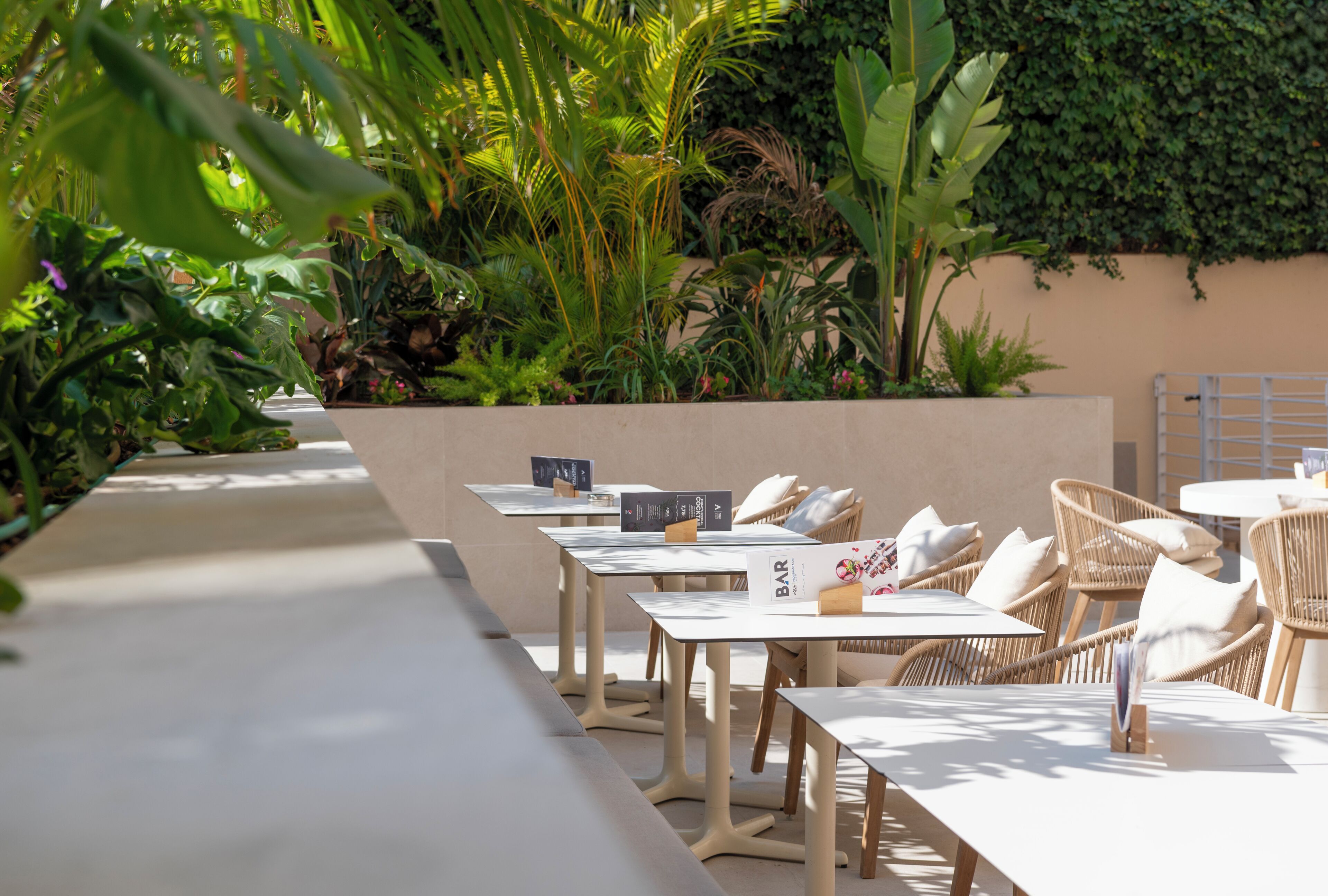 Une rangée de tables blanches avec des chaises en osier, dont certaines sont dotées de coussins, dans un espace extérieur agrémenté de diverses plantes et d’un mur recouvert de verdure.