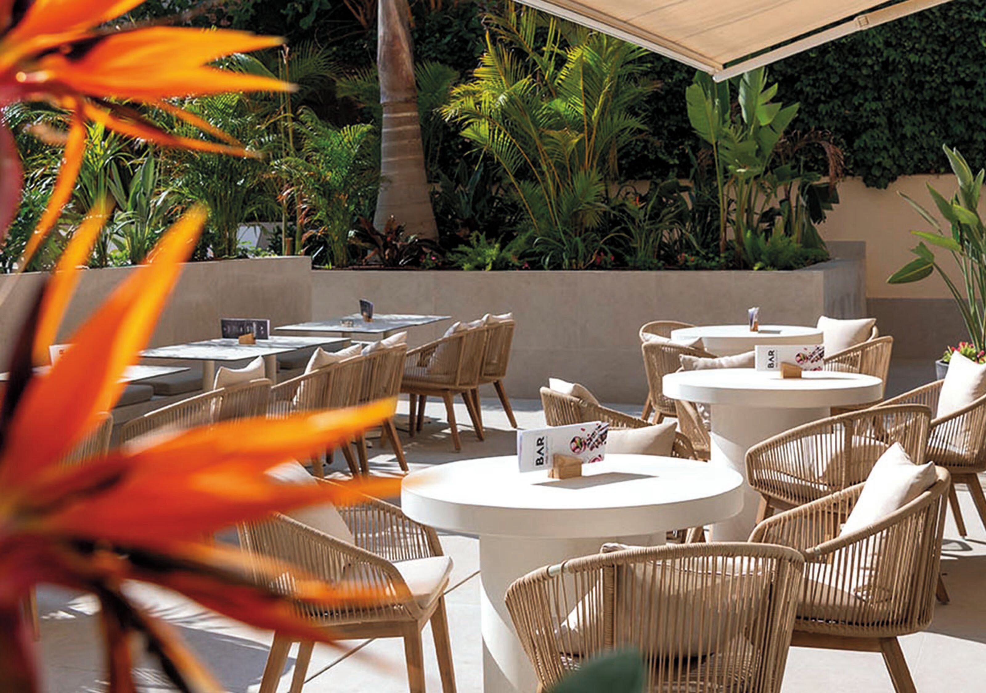 An outdoor seating area with wicker chairs and round tables, surrounded by lush greenery and palm trees.