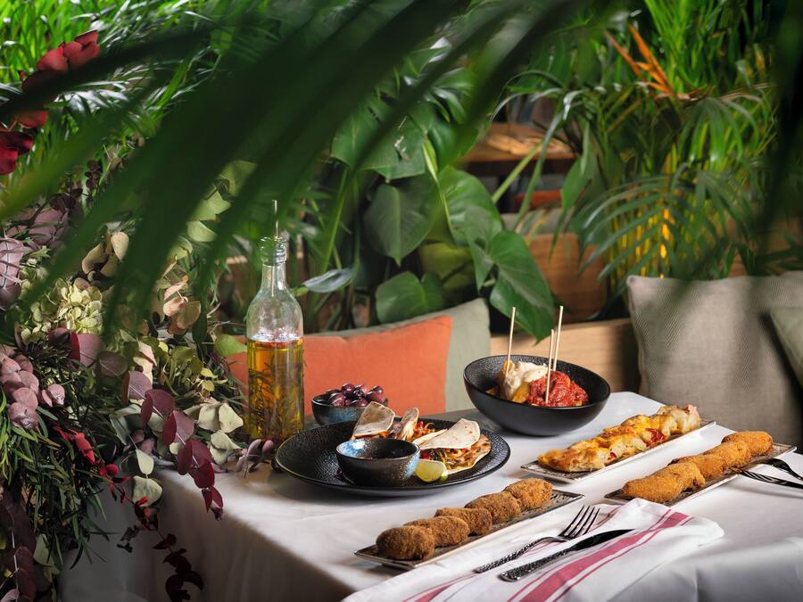 A table set with various dishes, a bottle of beer, and a potted plant in the background.