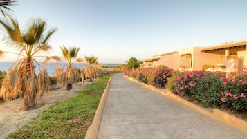 Un sendero pavimentado bordeado de palmeras y plantas con flores, que conduce a un edificio de estilo mediterráneo.