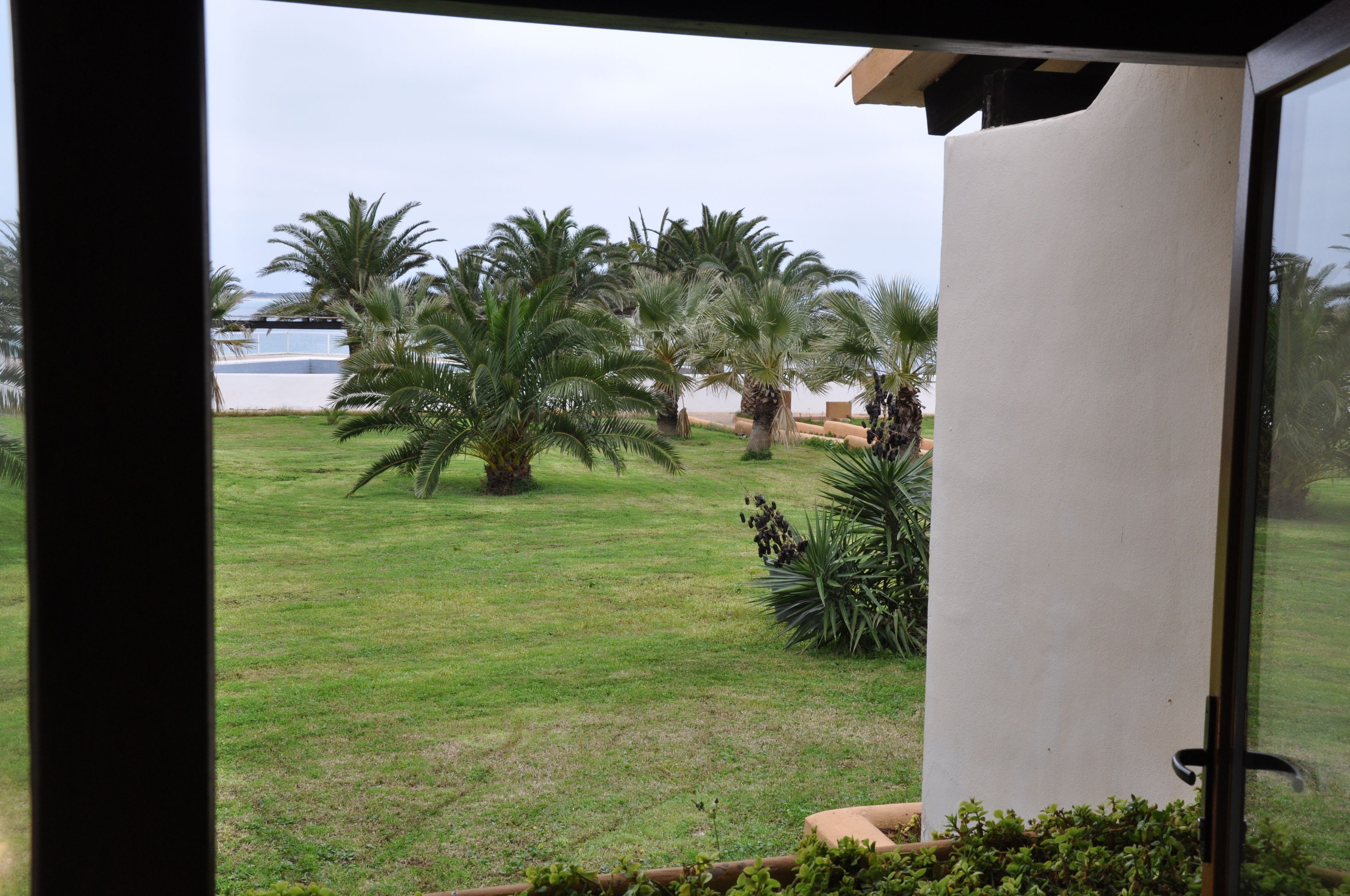 Vista de una zona con césped, palmeras y un edificio al fondo.
