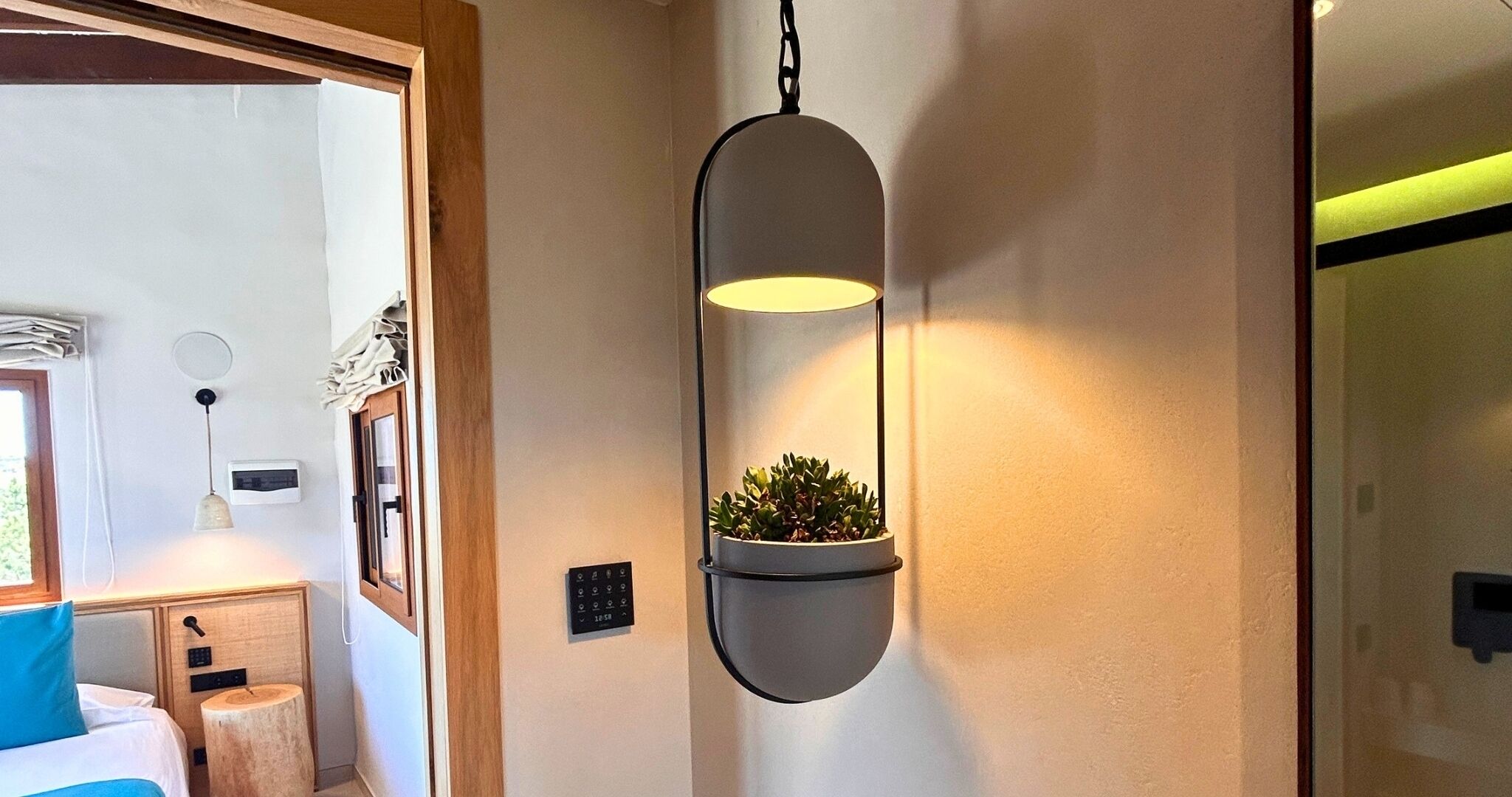Un couloir avec un pot de fleurs suspendu, une porte dotée d’une fenêtre et un thermostat fixé au mur.