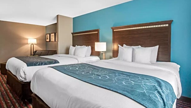 A hotel room with two beds, each with a wooden headboard, white bedding, and a blue throw blanket. There is a nightstand with a lamp between the beds, and a framed picture on the wall. - Comfort Suites Fairview Heights - St. Louis (Fairview Heights)