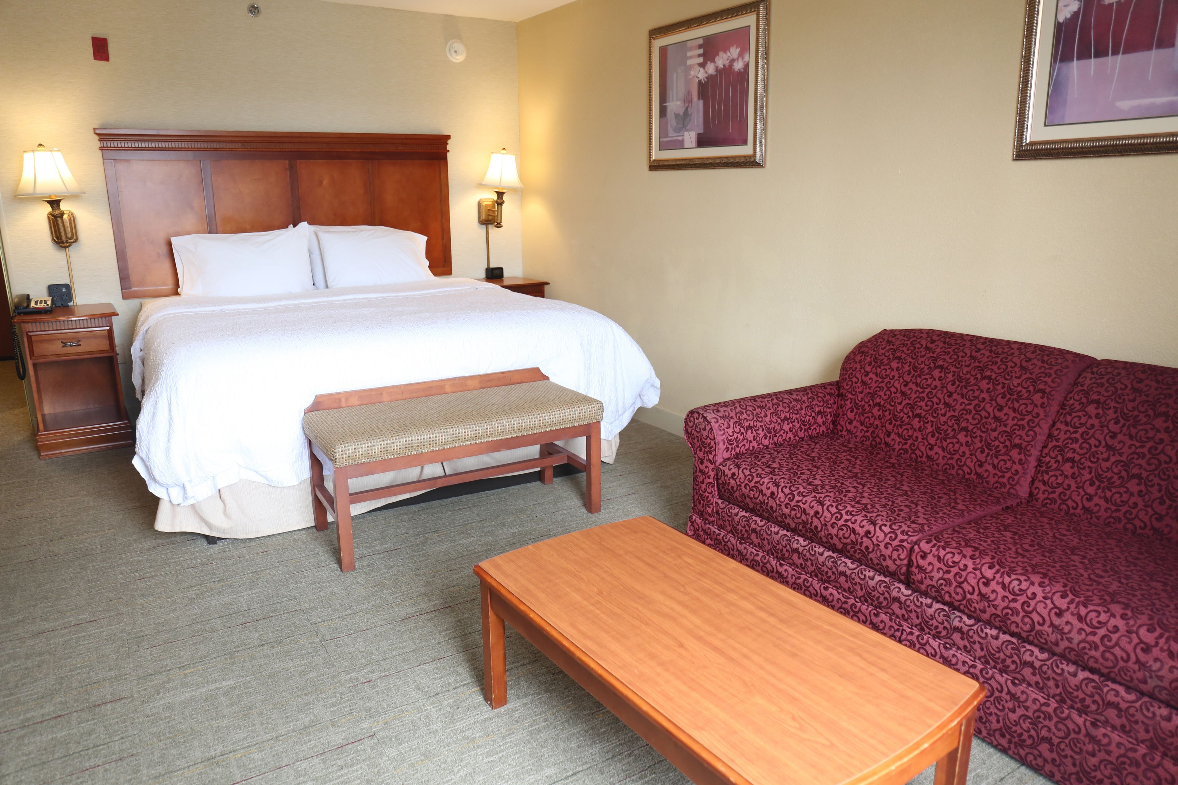 Habitación de hotel con cama, mesitas de noche, un banco de madera, un sofá rojo estampado y una mesa de centro de madera.