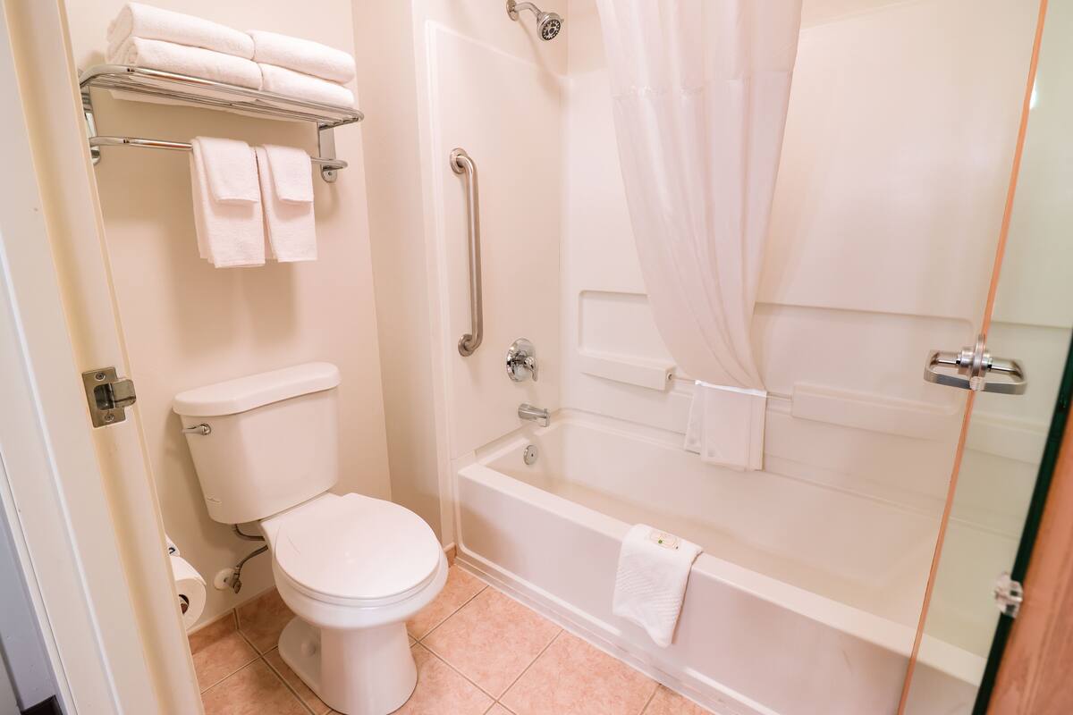 combined shower/bathtub, free toiletries, hair dryer, towels