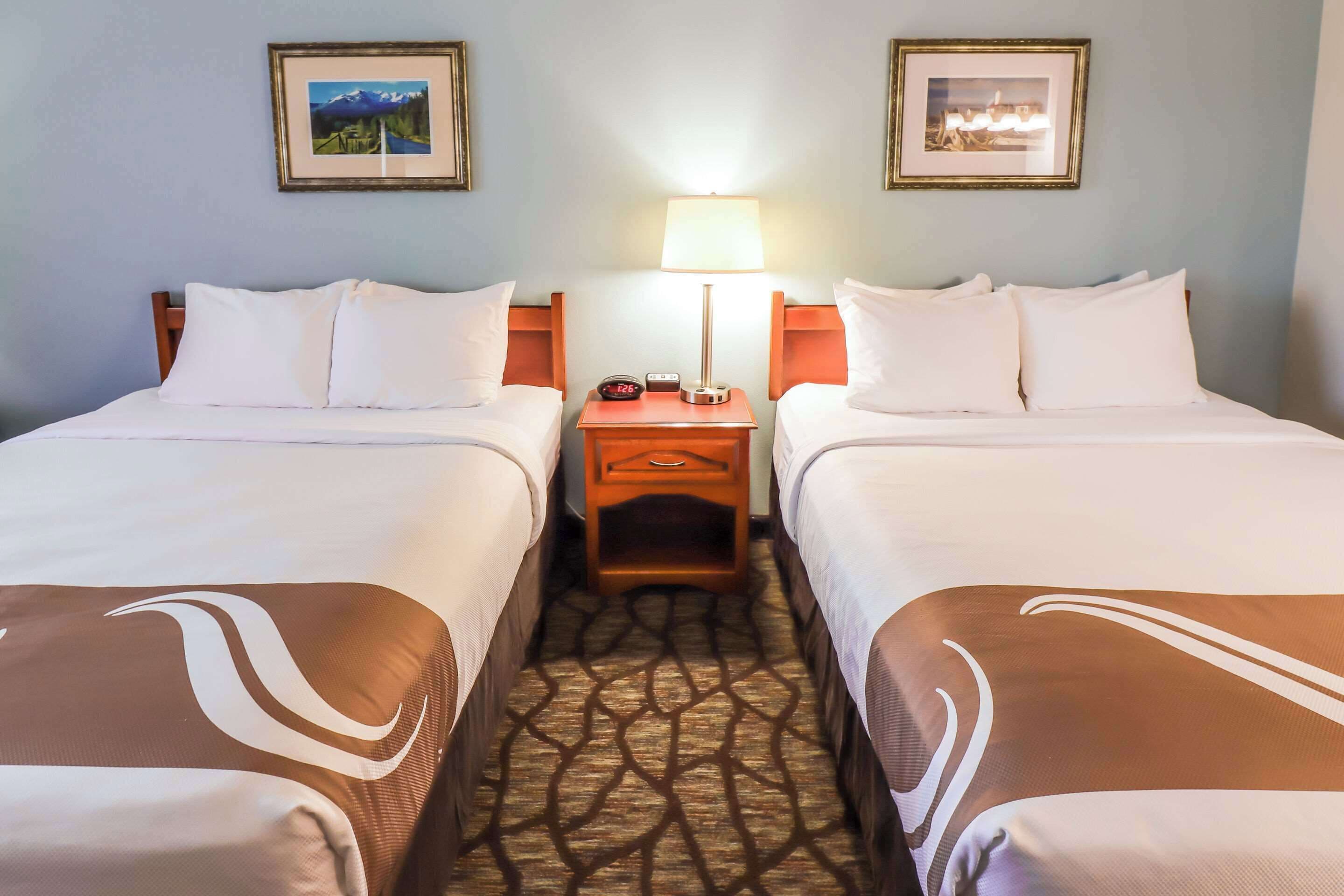 Habitación de hotel con dos camas, una mesita de noche con lámpara, cuadros en las paredes y una alfombra estampada.