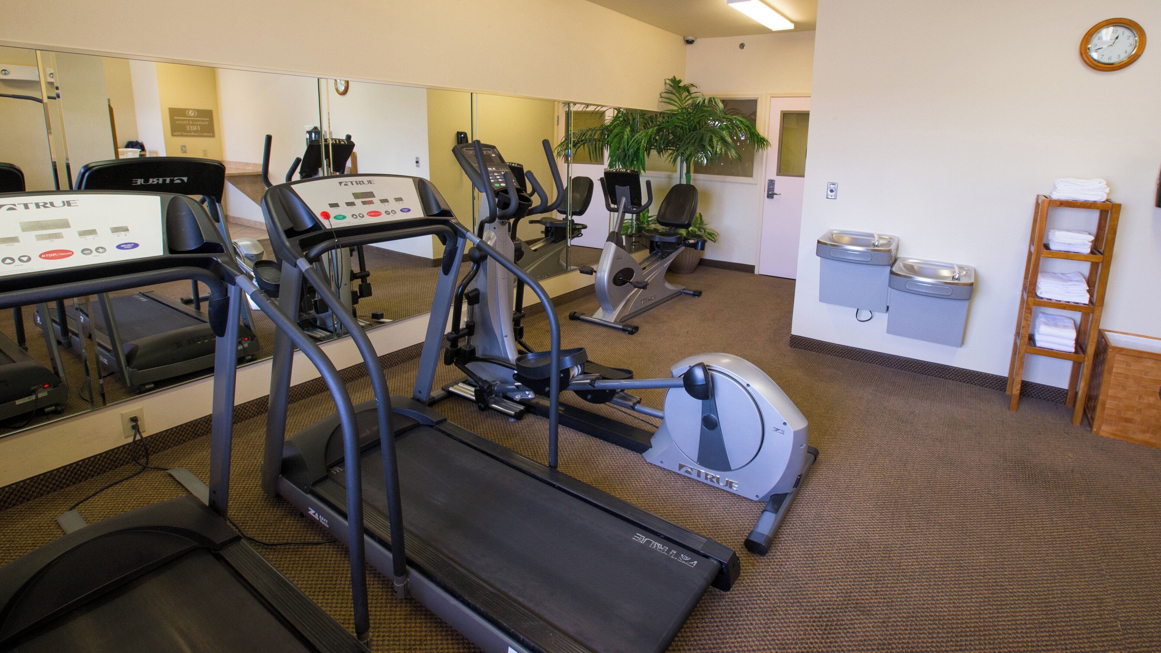 A gym with treadmills, stationary bikes, and exercise equipment.