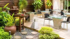 Een terras buiten met glazen tafels en stoelen, omgeven door potplanten en een bakstenen muur.