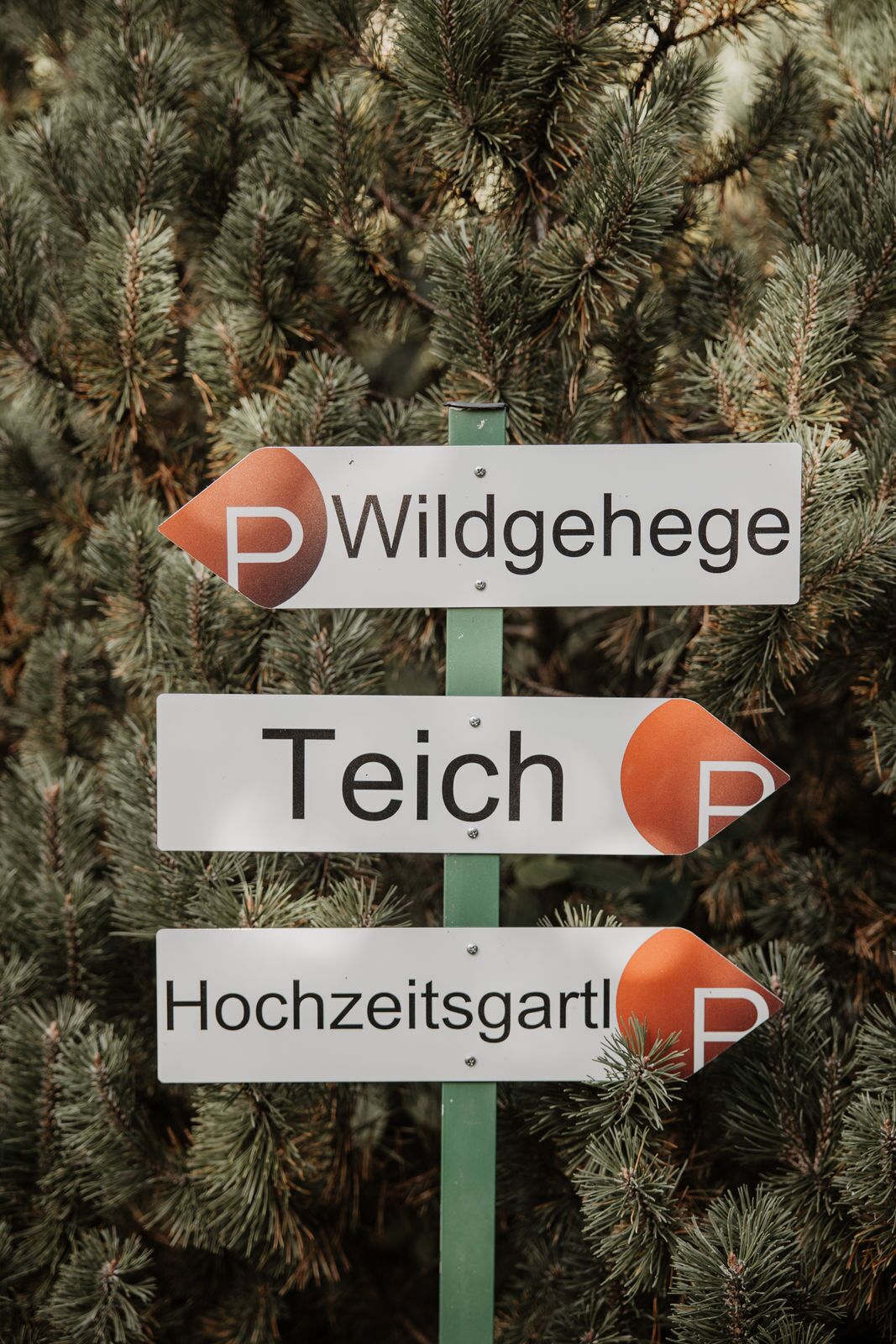 Foto - Parkhotel Matrei