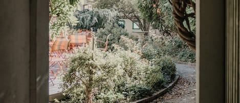Un arco de entrada que da a un jardín con diversas plantas y un pequeño árbol.