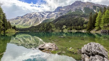 Un paisaje montañoso con un lago tranquilo, costas rocosas y un bosque denso.