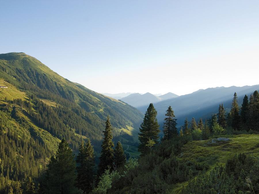 Un paisaje montañoso con bosques densos y un cielo despejado.