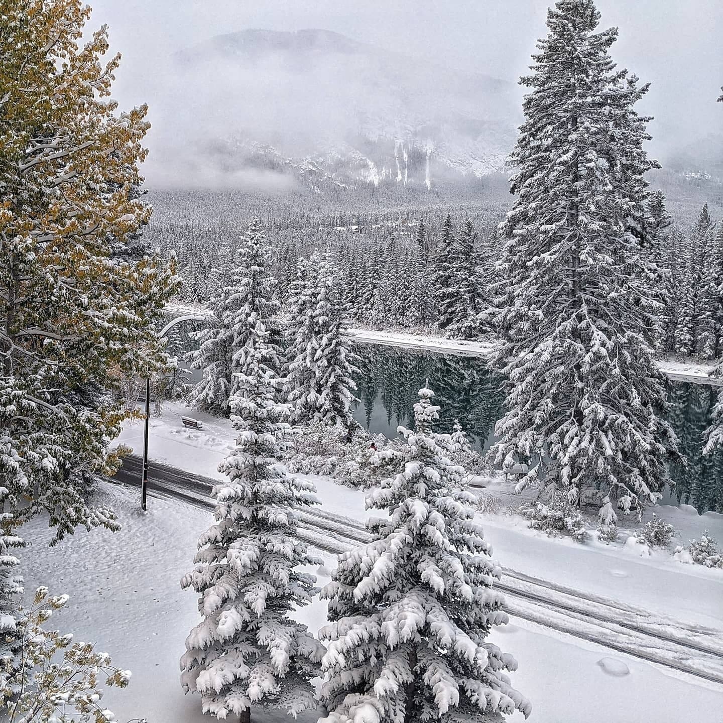 Foto - Bow View Lodge