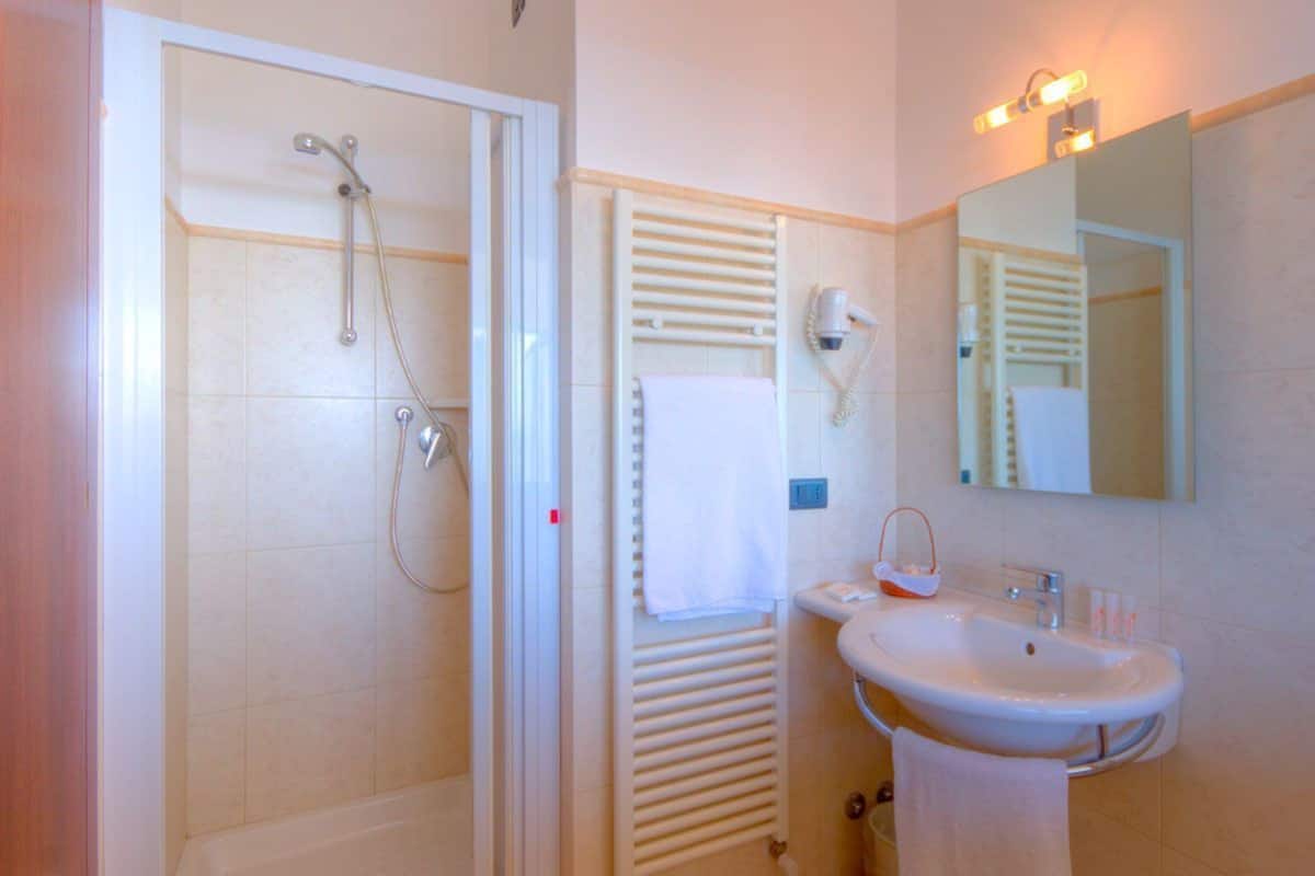Hair dryer, bidet, towels