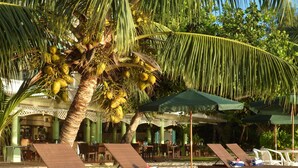 A beachside lounge area with wicker lounge chairs, a palm tree with coconuts, and a covered seating area with umbrellas. - Palm Beach Hotel (Praslin Island)
