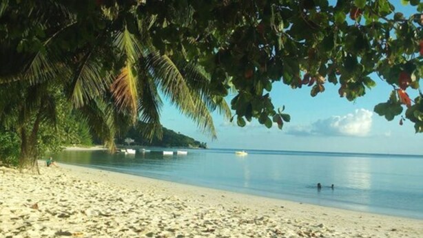 A beach with clear water, palm trees, and a distant island. - Palm Beach Hotel (Praslin Island)